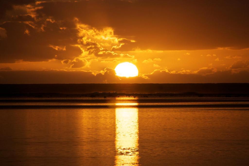 The Black Pearl Beachside Apartments Rarotonga Exterior photo